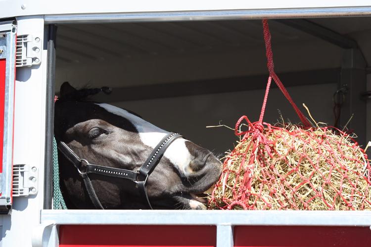 Let's Talk Metal What is your preferred quality? Cost, weight or ease? Have a read about the use of steel and aluminium in horseboxes. 